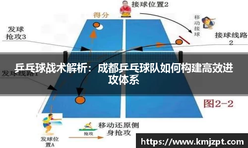 乒乓球战术解析：成都乒乓球队如何构建高效进攻体系